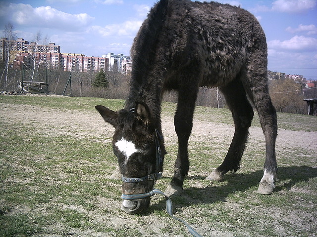 Sprztanie rzeki.