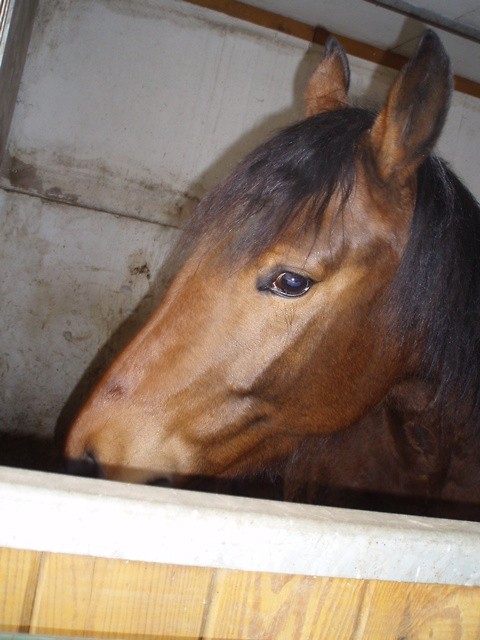 Wpis princess1996