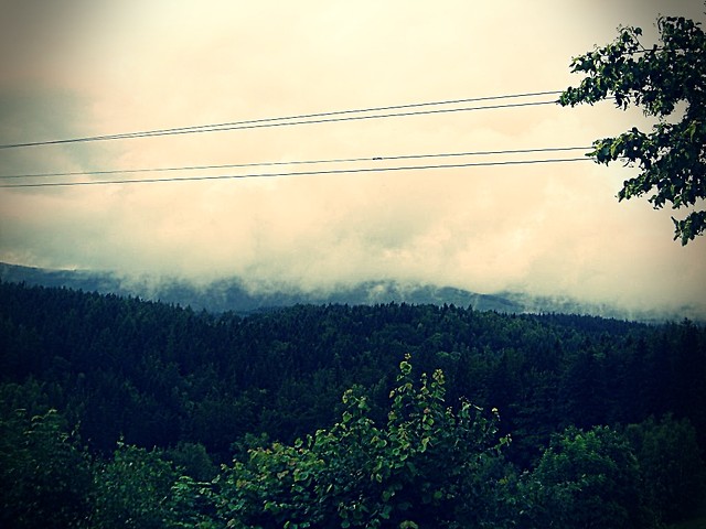 Podgrzyn '09 I