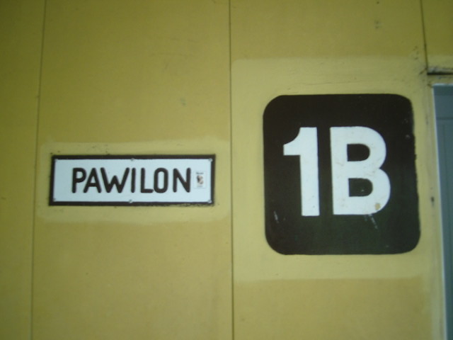 pawilon1b