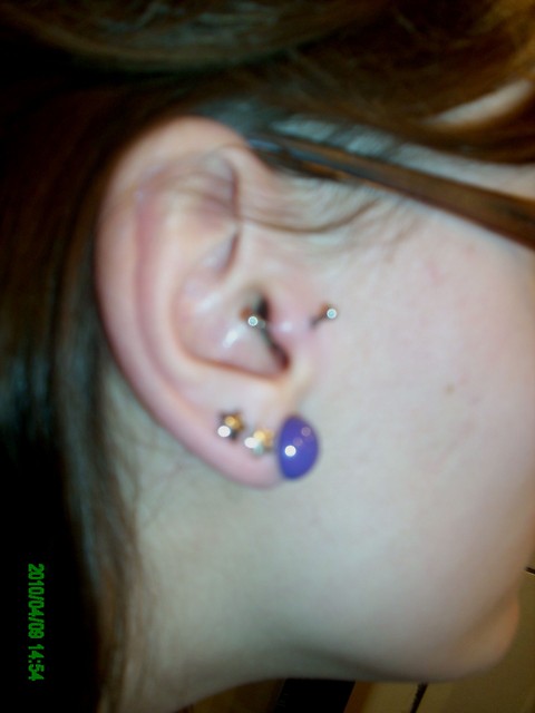 tragus