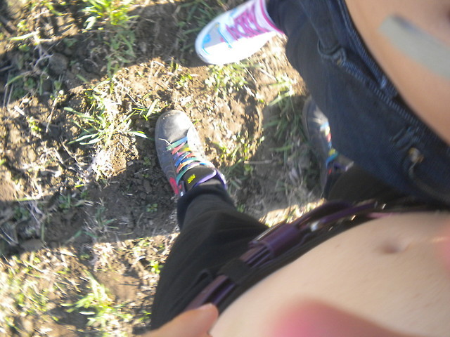 Mrrr.;*