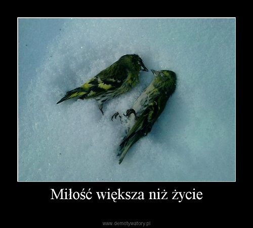 Wspomnienia, odcinek i-ty