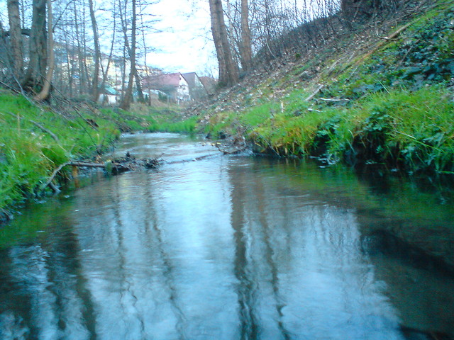Chwile ulotne