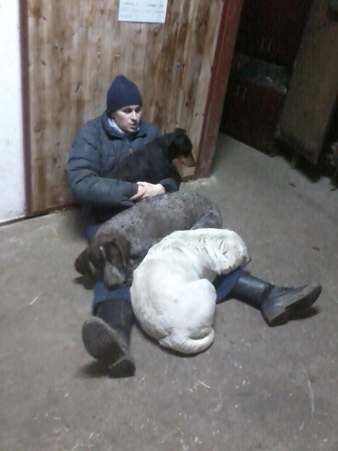 Zimowe dogrzewanie.