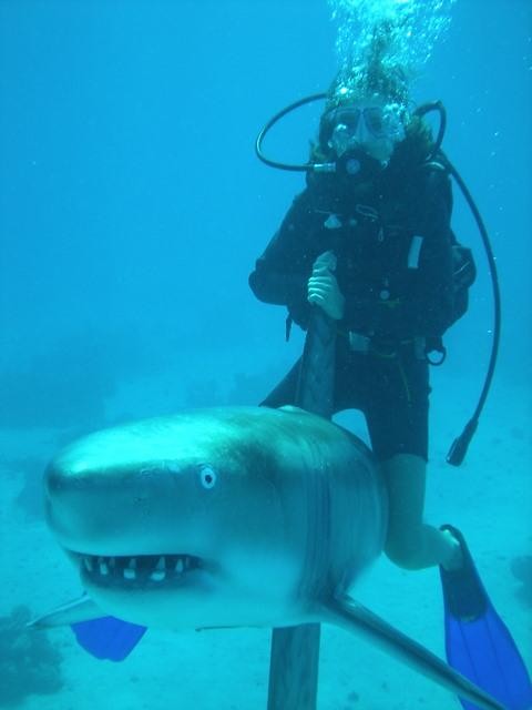 hurghada . 