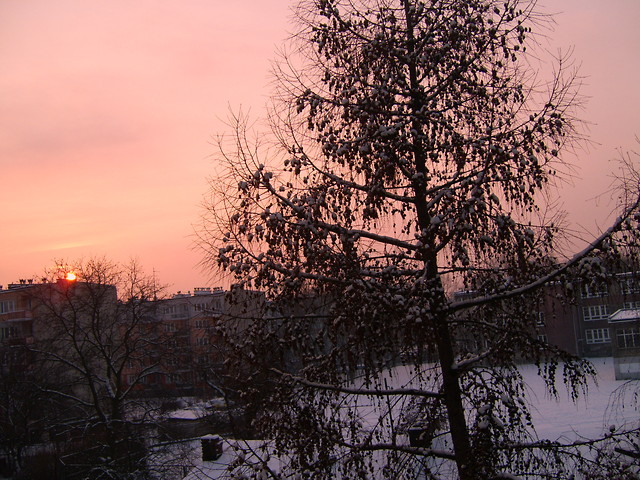 Cykl przeciwiestw