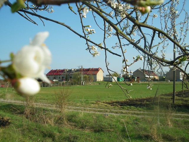 WIOSNA