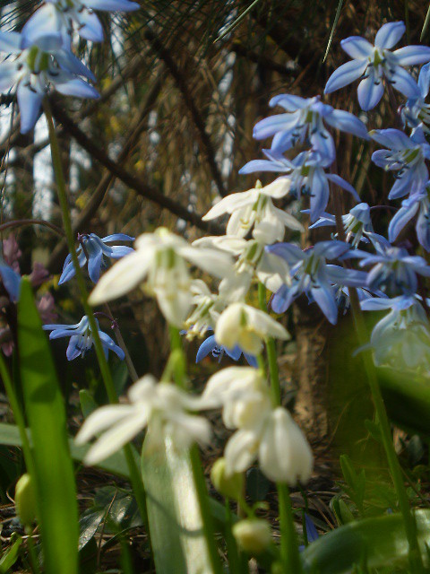 Wpis whiteerosee