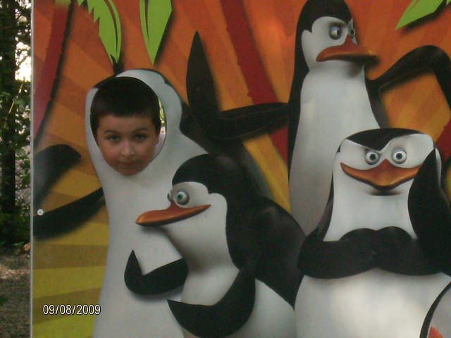 Wpis mamut2012