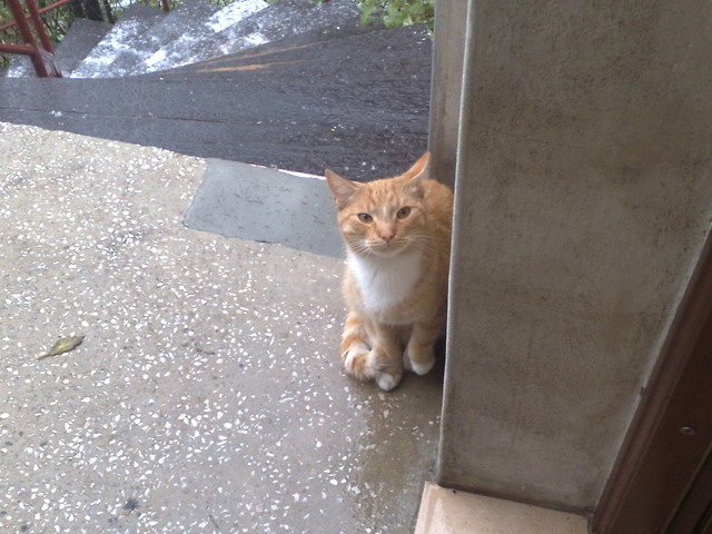 Miaek