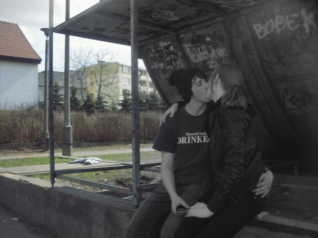 Kotek xDD
