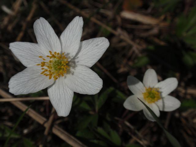 Wpis agnieszkar72