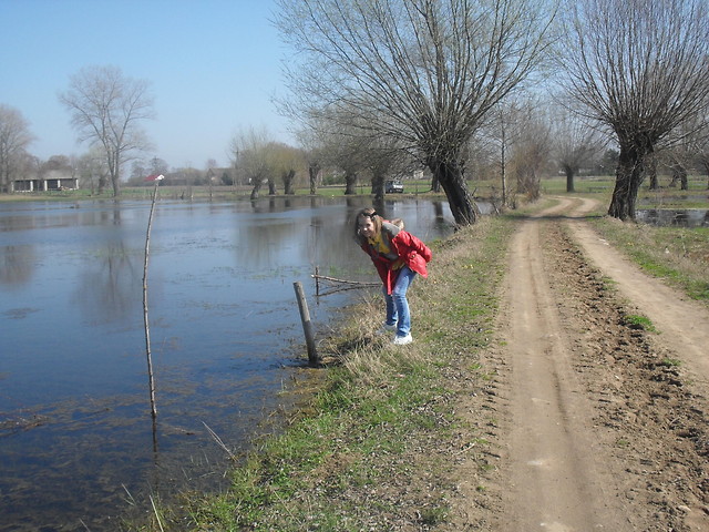 Wpis weeroniczka