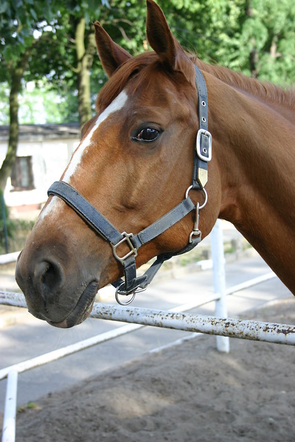 Wpis lusia07