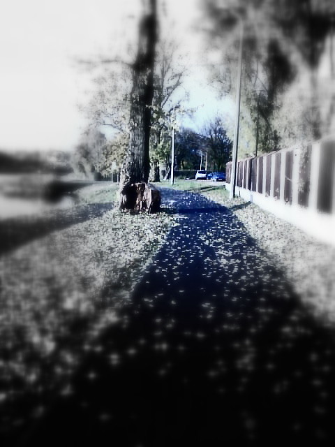 Pisze notke ;D nie wierze .. ;D