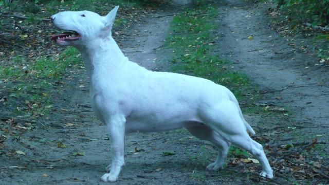 PeREKA