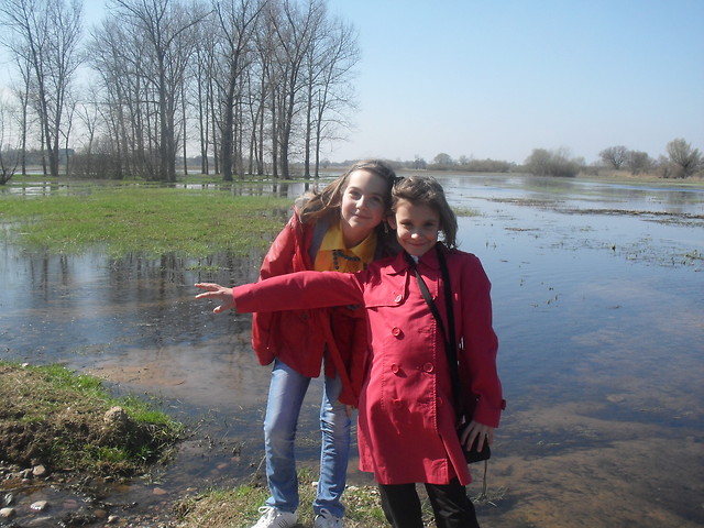 Wpis weeroniczka