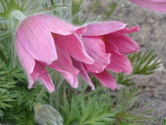 04