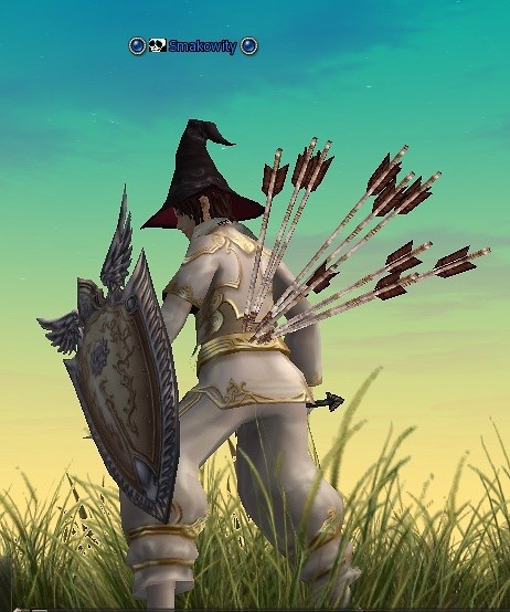Lineage 2 Koniec grania