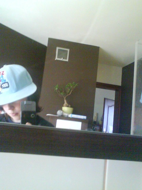 Wpis sexocholik