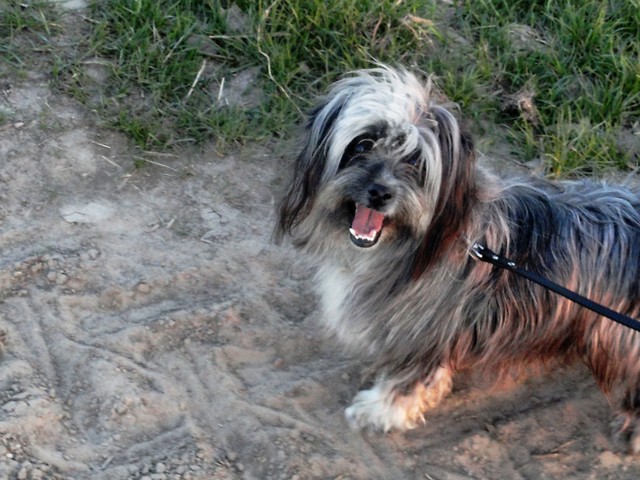 Fibianna