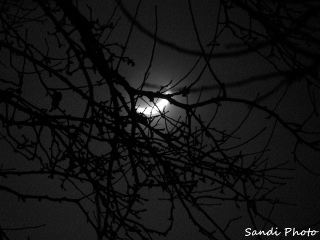 Wpis sandiphoto
