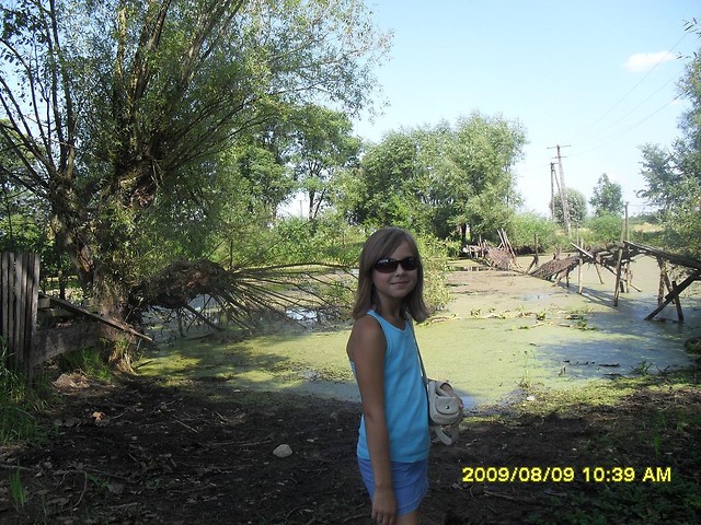 Wpis weeroniczka
