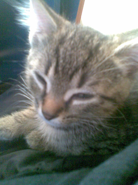 Moje Bydle !