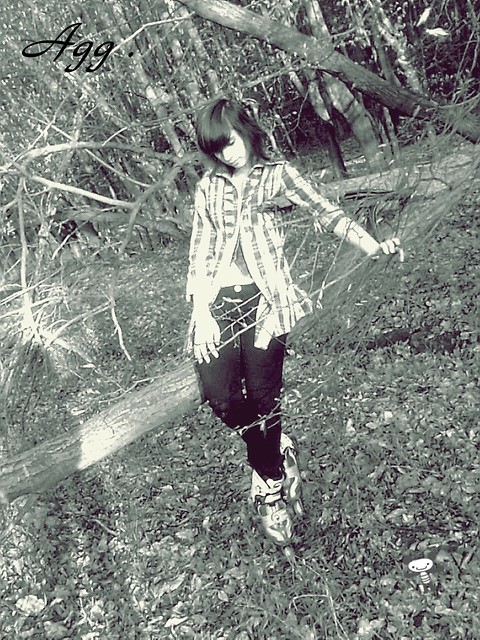 forest ^^ xd