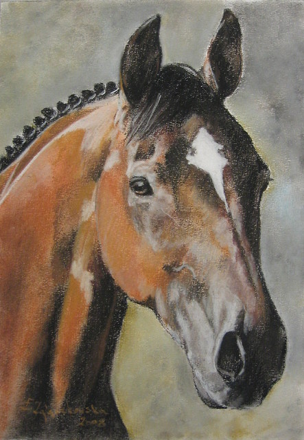 konik