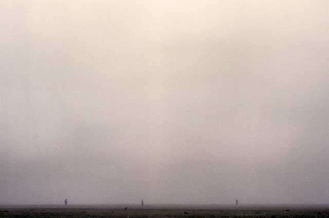 plains
