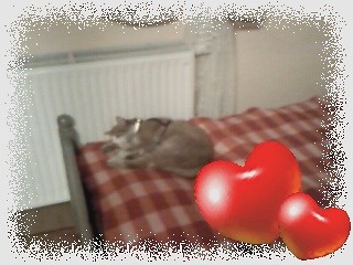 RUDOLF