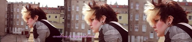 Wpis ruchawczozapoznawczy