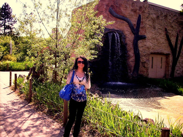 zoo;))