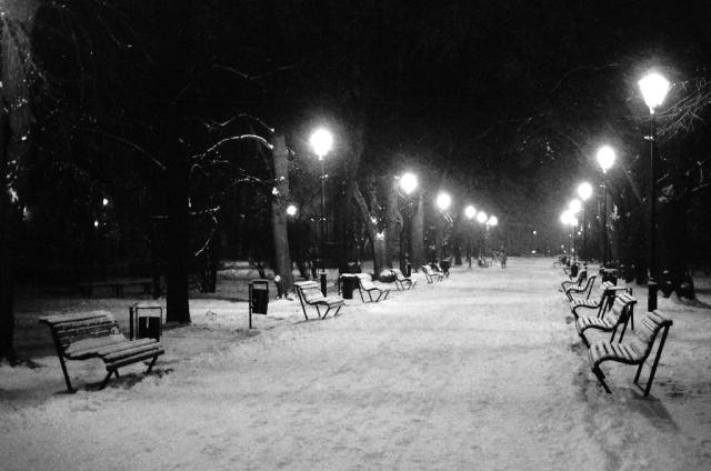 cold park