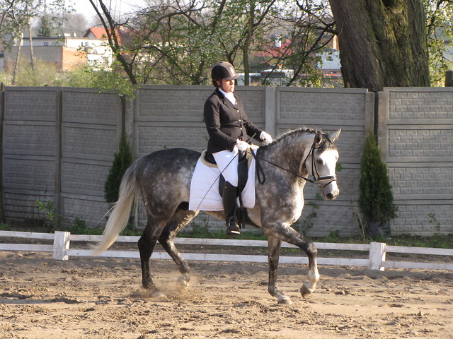 Wpis raczus26