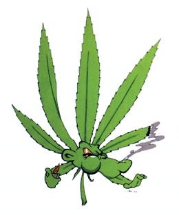 ; D