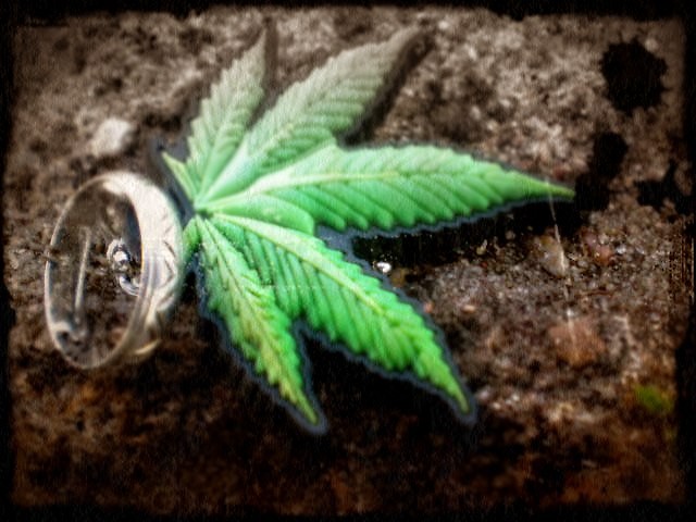 love and drugs... 
