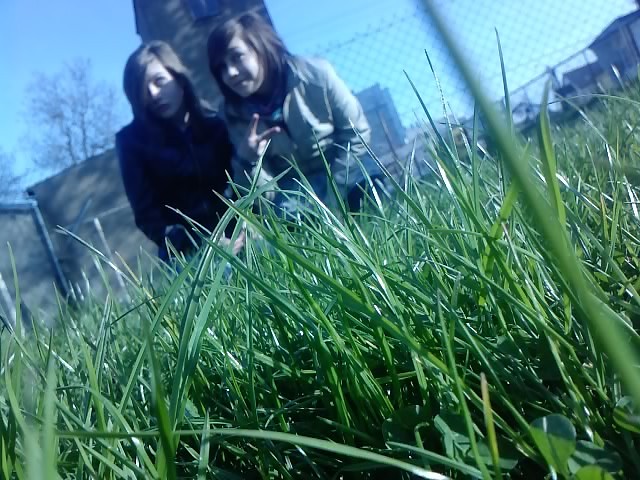 z Mileen ; > 