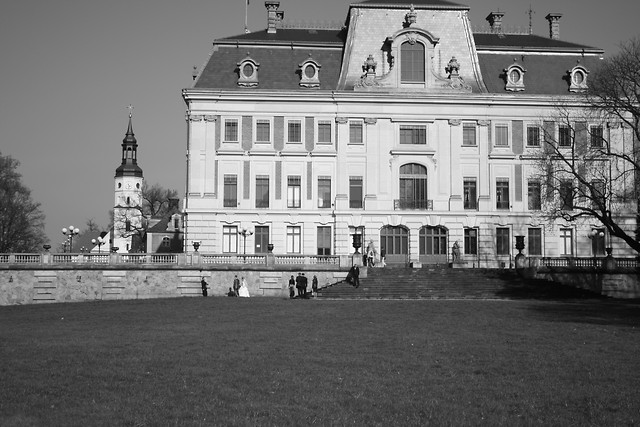 Pszczyna