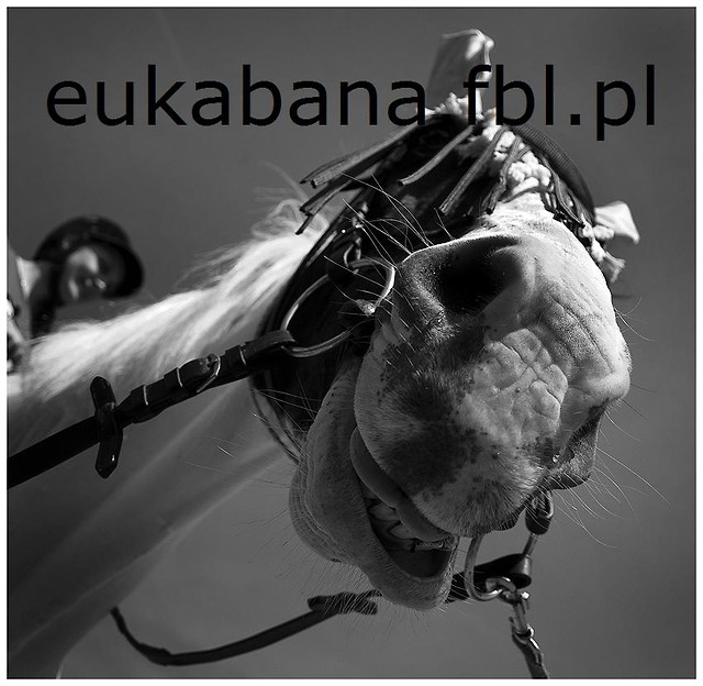 Wpis eukabana