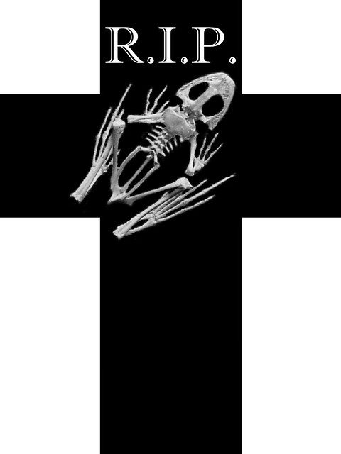 Wpis zlotakulka