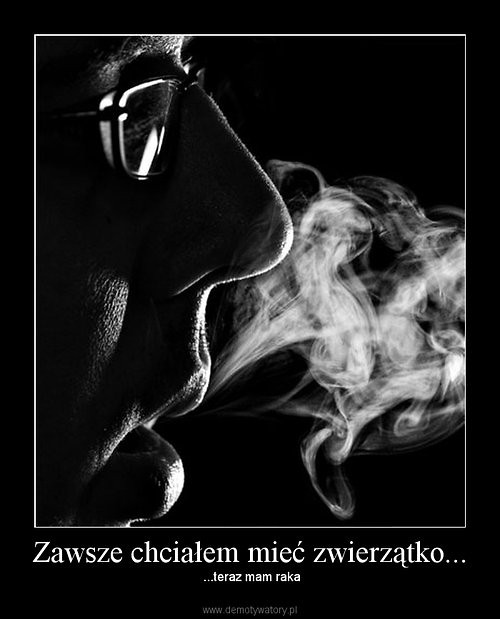 Wpis szymcorek