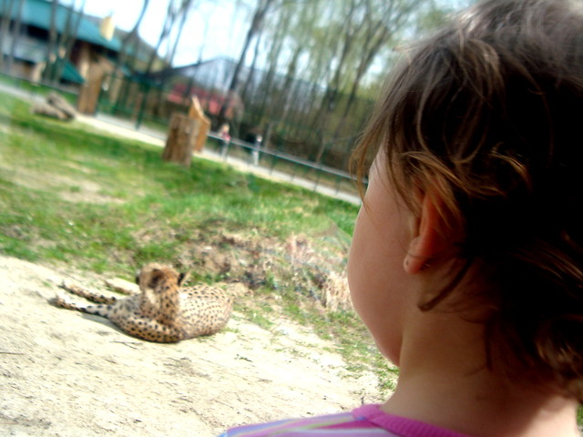 Moja siostra w zoo :*