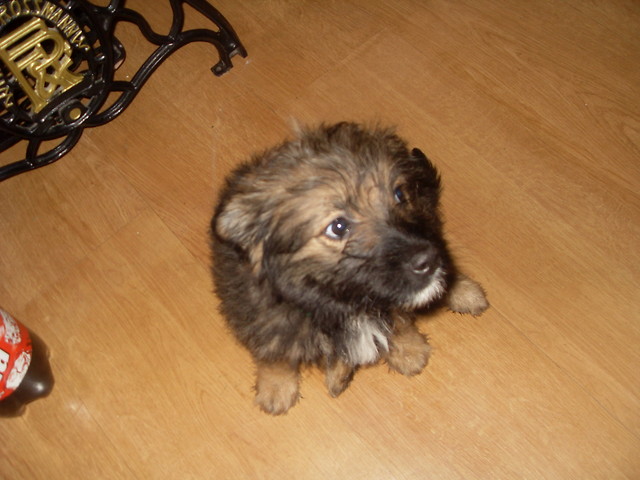 Kuuuuuuuuuuuuuubu  ; ***