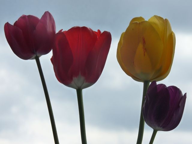 colours..