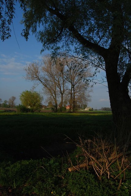 mazowsze
