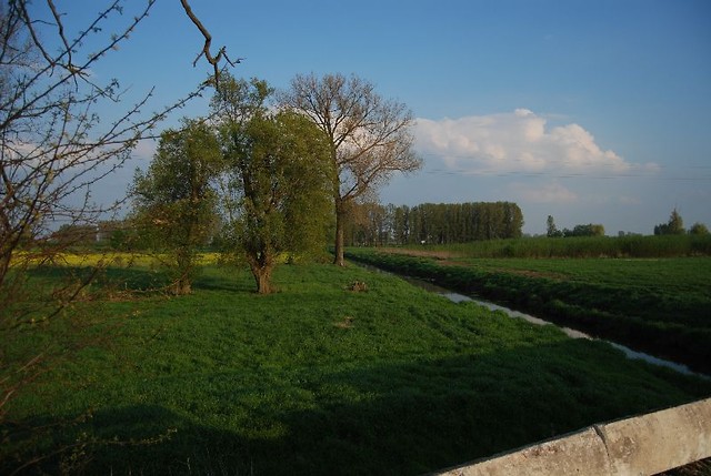 mazowsze