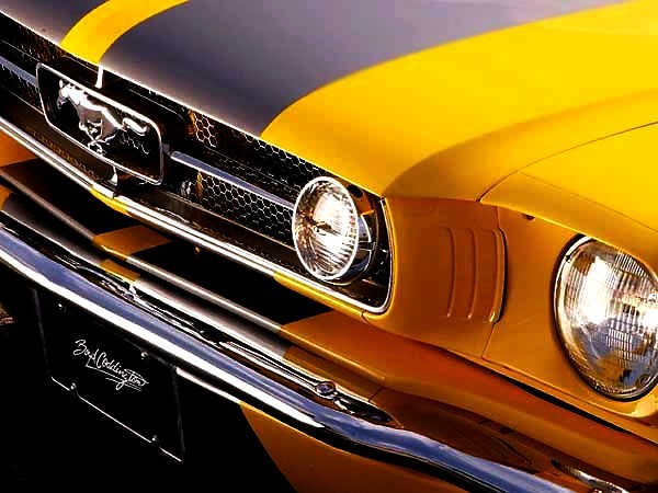 Mustang!!